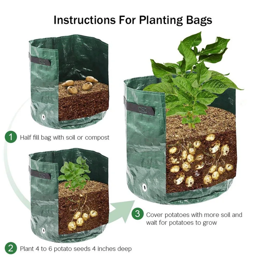 Les trois étapes de plantation dans le sac de culture